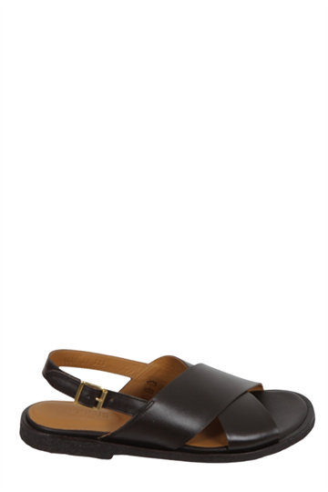 Angulus 5637 Dark Brown